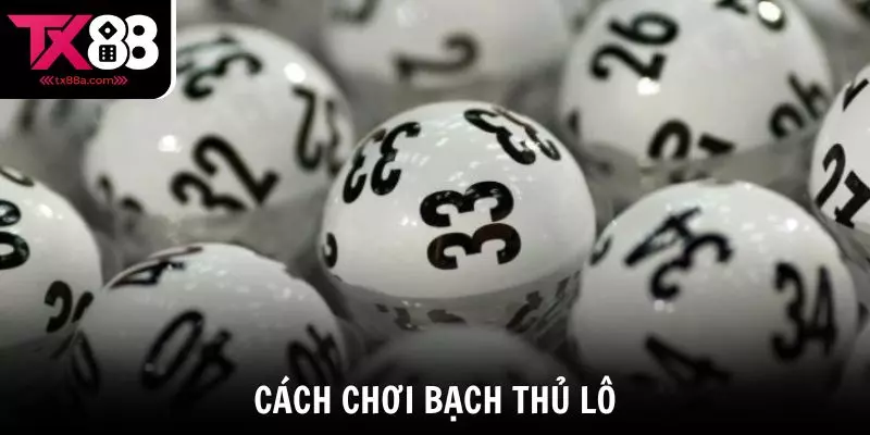 Bạch thủ lô là cách chơi tập trung vào duy nhất 1 con số (00-99) trong kỳ quay