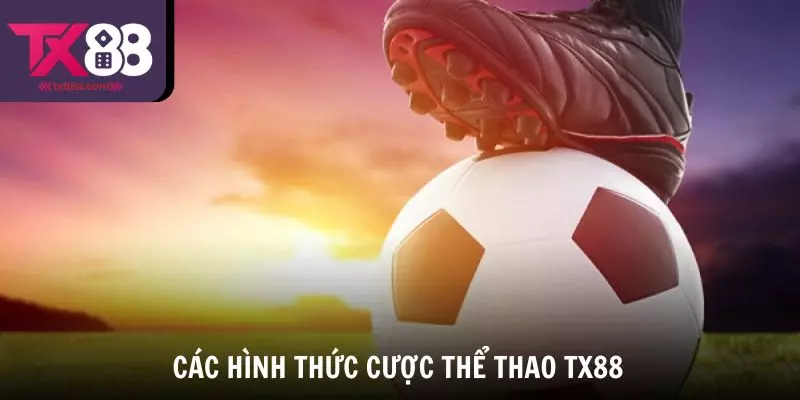Tổng hợp các hình thức cược Thể thao TX88