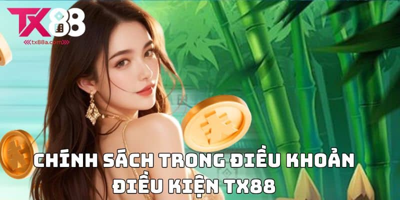 Chính sách trong điều khoản điều kiện TX88