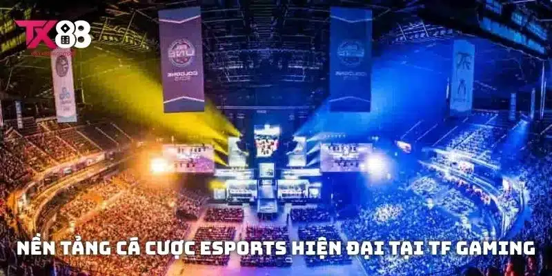 Nền tảng cá cược Esports hiện đại tại TF Gaming