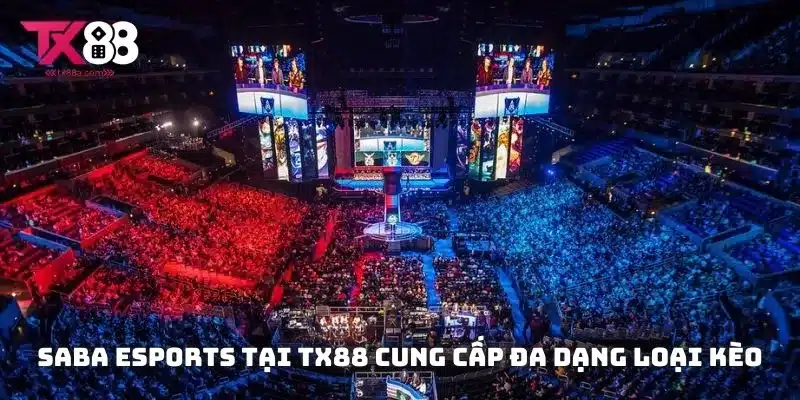 SABA Esports tại TX88 cung cấp đa dạng loại kèo như cược trận