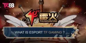 TF Gaming