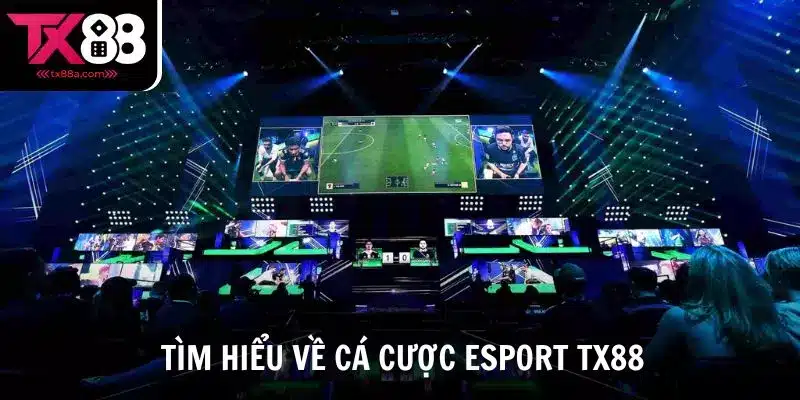 Tìm hiểu một số thông tin về cá cược Esport TX88