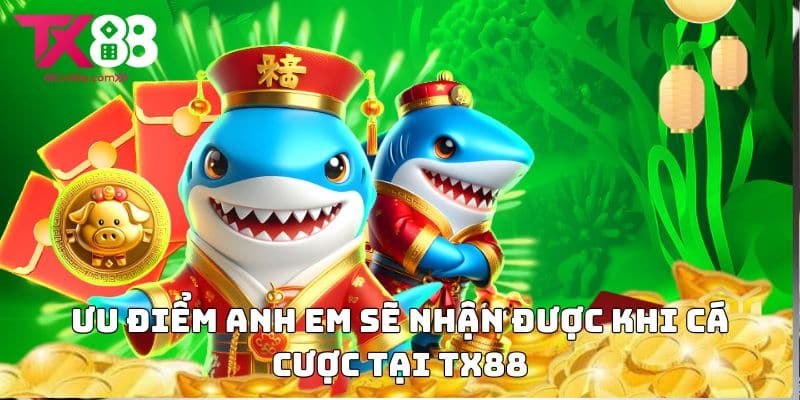 Ưu điểm anh em sẽ nhận được khi cá cược tại TX88
